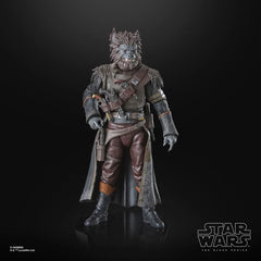 Star Wars Black Series 6in Pirate Captain Brutus Action Figure