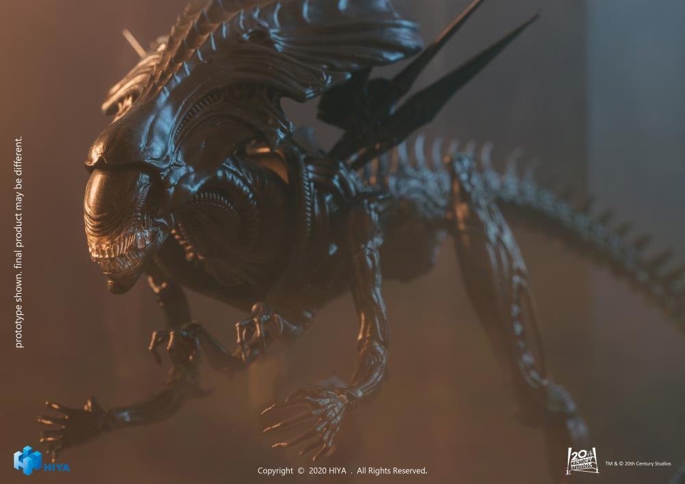 Alien vs. Predator Alien Queen 1:18 Scale PX Previews Exclusive Figure