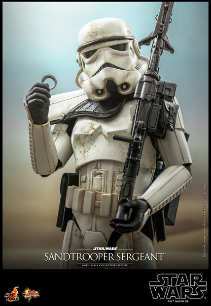 SANDTROOPER SERGEANT™ Sixth Scale Figure by Hot Toys