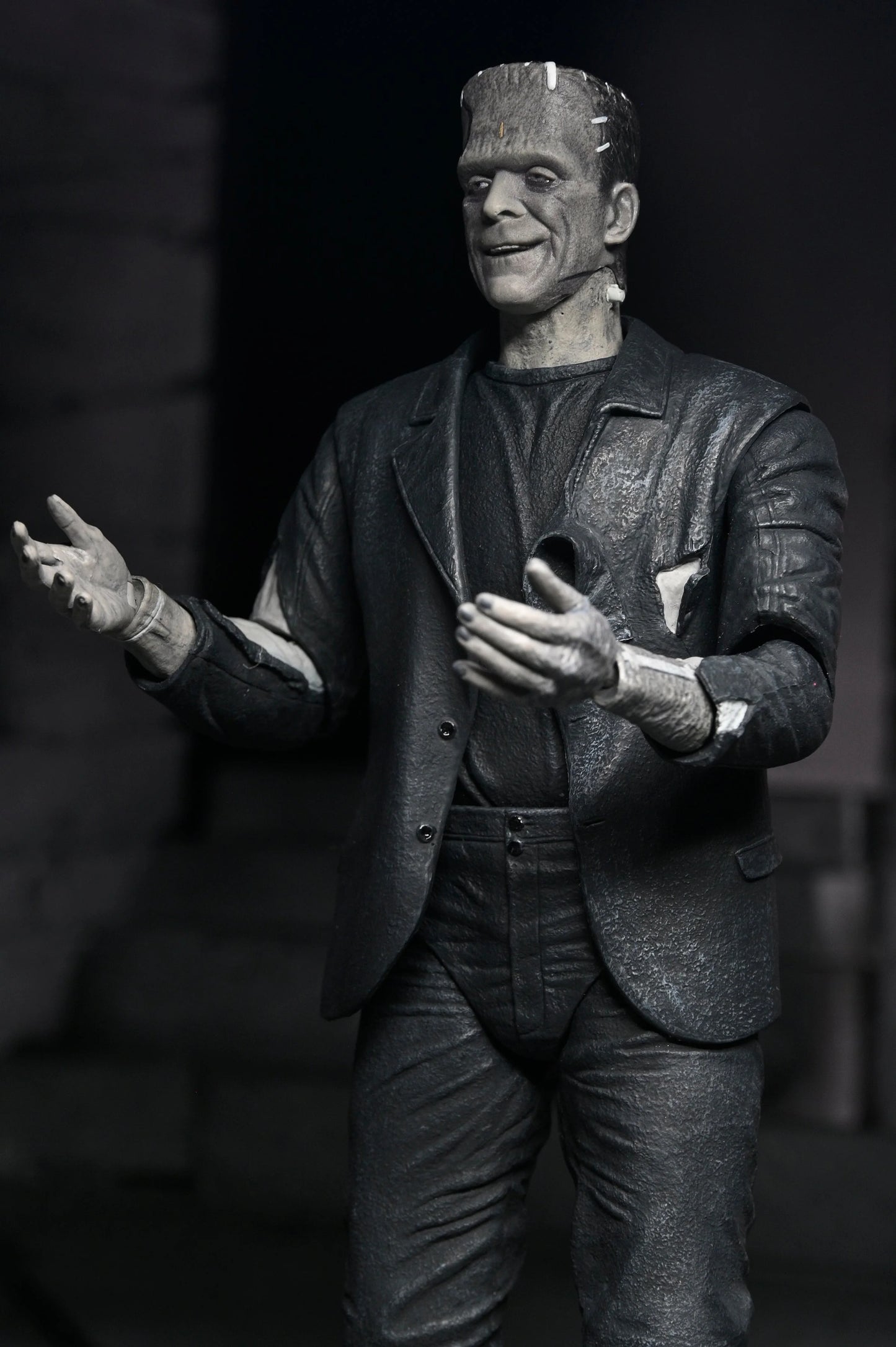 Universal Monsters - 7” Scale Action Figure - Bride of Frankenstein 90th Anniversary The Monster & His Mate 2pk (B&W)