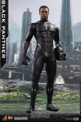BLACK PANTHER Sixth Scale Figure by Hot Toys