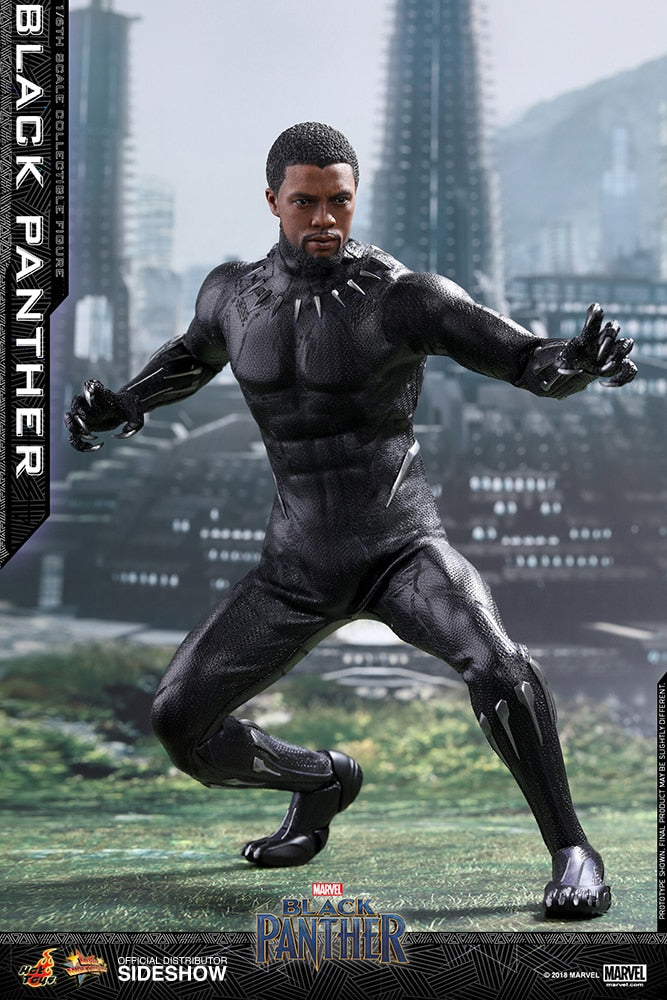 BLACK PANTHER Sixth Scale Figure by Hot Toys