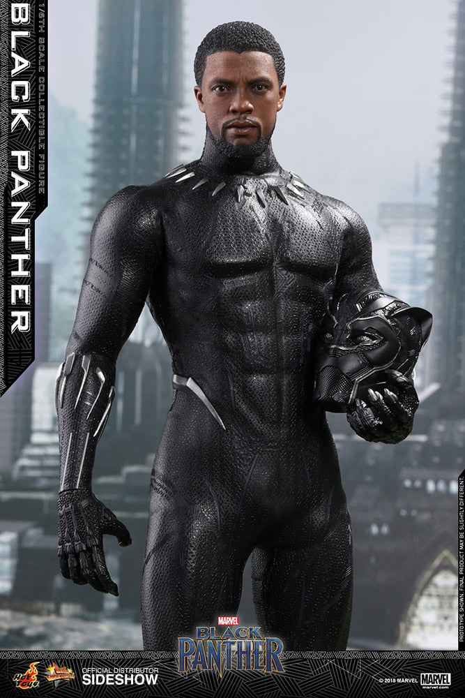 BLACK PANTHER Sixth Scale Figure by Hot Toys