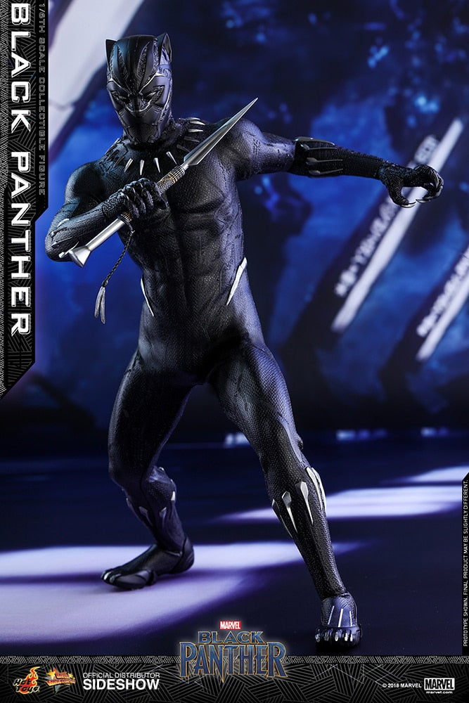 BLACK PANTHER Sixth Scale Figure by Hot Toys