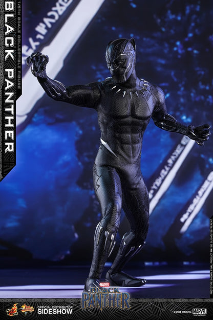 BLACK PANTHER Sixth Scale Figure by Hot Toys