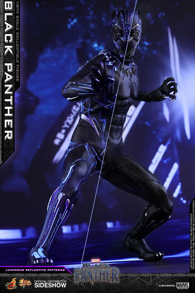 BLACK PANTHER Sixth Scale Figure by Hot Toys