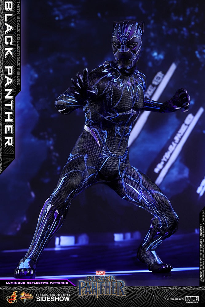 BLACK PANTHER Sixth Scale Figure by Hot Toys