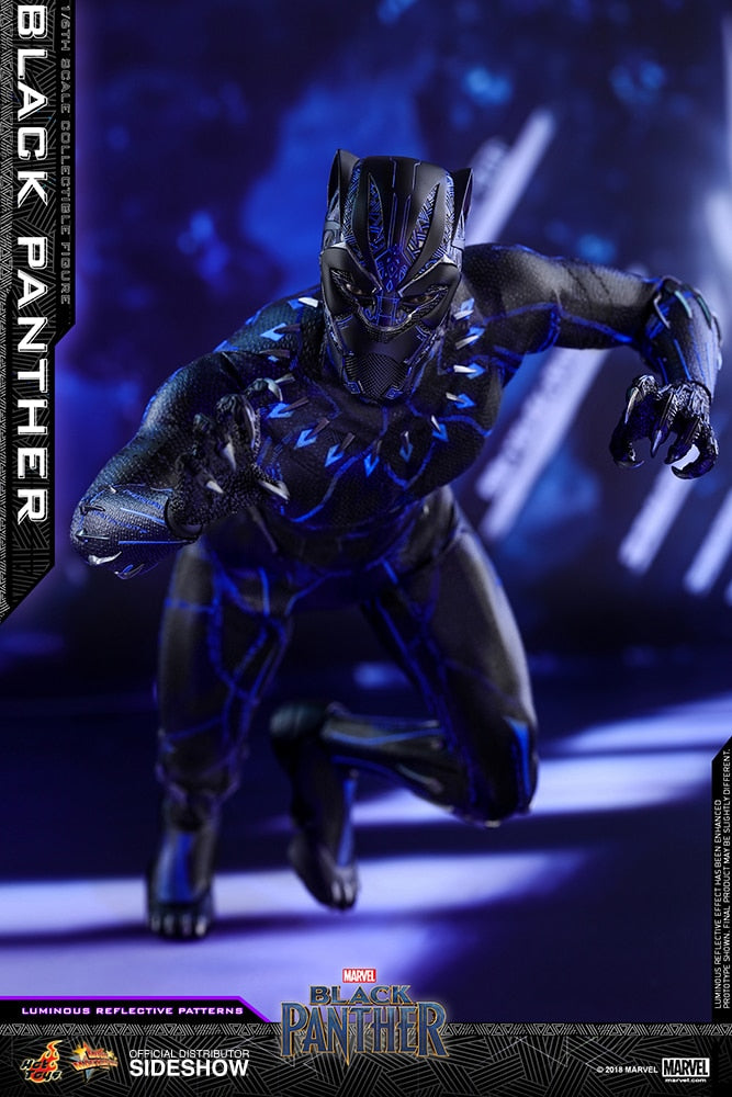 BLACK PANTHER Sixth Scale Figure by Hot Toys