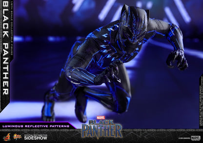 BLACK PANTHER Sixth Scale Figure by Hot Toys