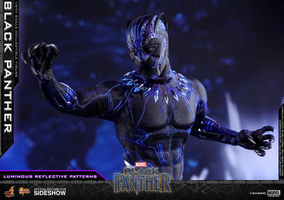 BLACK PANTHER Sixth Scale Figure by Hot Toys