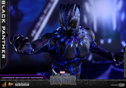 BLACK PANTHER Sixth Scale Figure by Hot Toys