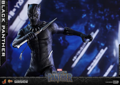 BLACK PANTHER Sixth Scale Figure by Hot Toys