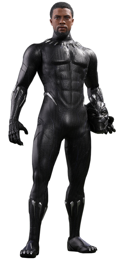 BLACK PANTHER Sixth Scale Figure by Hot Toys