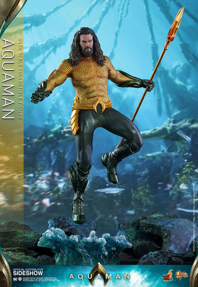 AQUAMAN Sixth Scale Figure by Hot Toys
