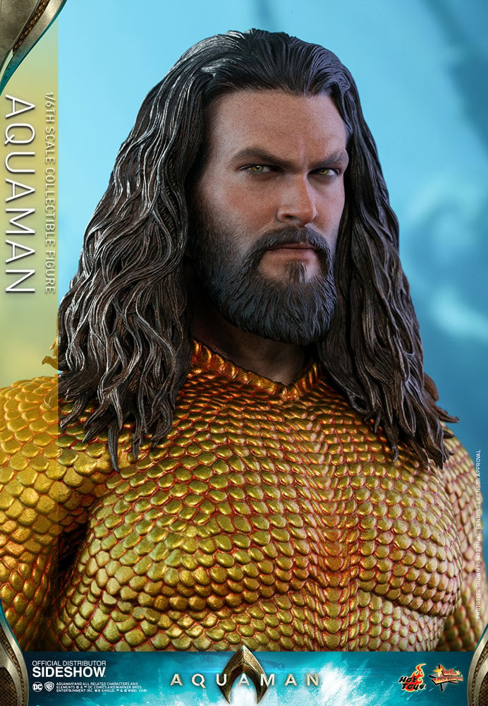 AQUAMAN Sixth Scale Figure by Hot Toys