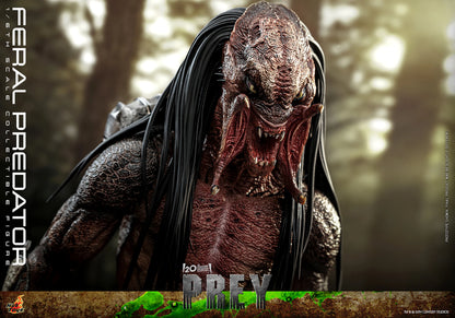 Pre-Order: FERAL PREDATOR Sixth Scale Figure by Hot Toys