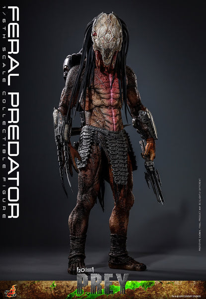 Pre-Order: FERAL PREDATOR Sixth Scale Figure by Hot Toys
