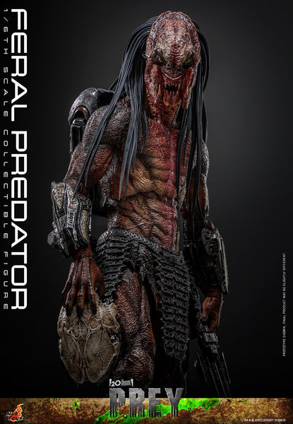 Pre-Order: FERAL PREDATOR Sixth Scale Figure by Hot Toys