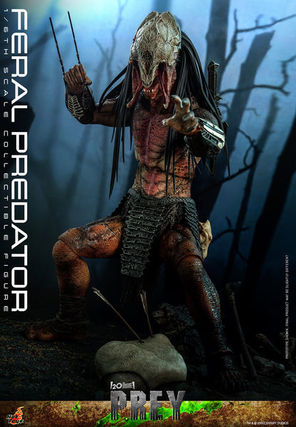 Pre-Order: FERAL PREDATOR Sixth Scale Figure by Hot Toys