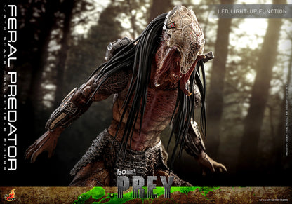 Pre-Order: FERAL PREDATOR Sixth Scale Figure by Hot Toys