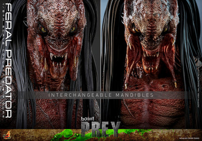 Pre-Order: FERAL PREDATOR Sixth Scale Figure by Hot Toys