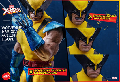 WOLVERINE Sixth Scale Figure by Honō Studio