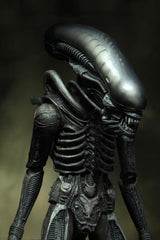Alien 40th Anniversary Giger's Alien