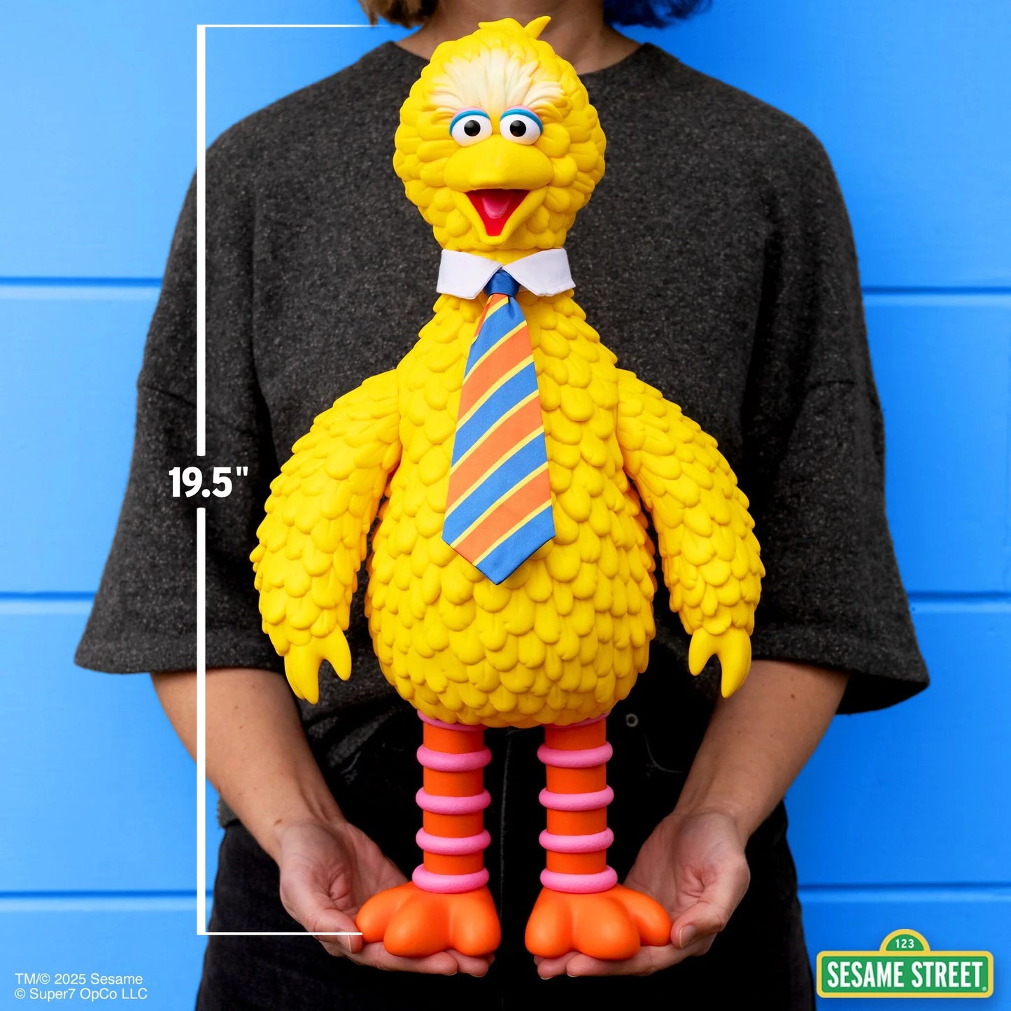 (Pre-Order) Big Bird Vinyl Collectible
