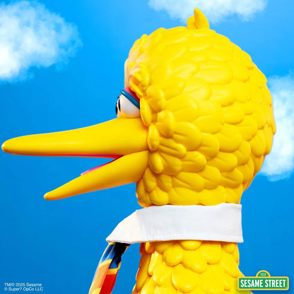 (Pre-Order) Big Bird Vinyl Collectible