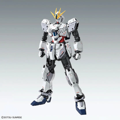 MG RX-9/C Narrative Gundam C-Packs [Ver.Ka]