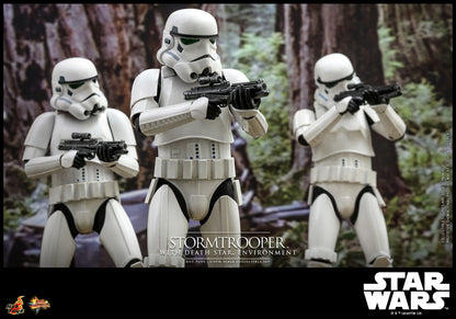 Stormtrooper™ with Death Star™ Environment Sixth Scale Figure
