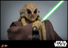 Pre-Order: KIT FISTO Sixth Scale Figure by Hot Toys