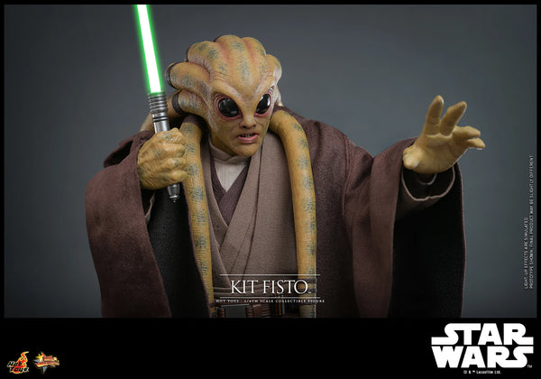 Pre-Order: KIT FISTO Sixth Scale Figure by Hot Toys