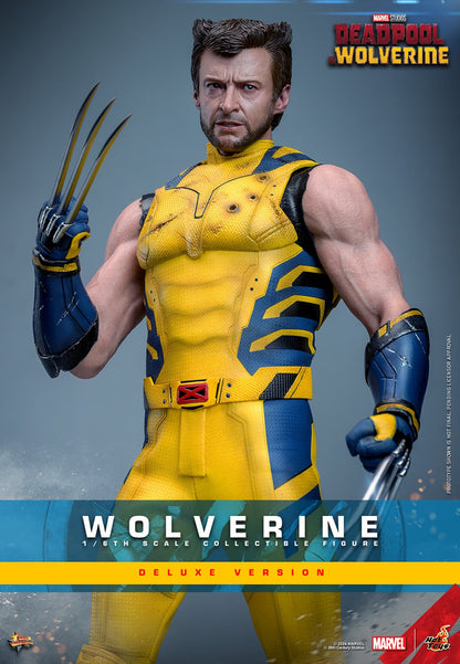(Pre-Order) WOLVERINE (DELUXE VERSION) Sixth Scale Figure by Hot Toys
