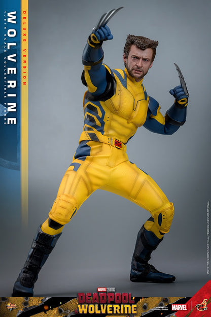 (Pre-Order) WOLVERINE (DELUXE VERSION) Sixth Scale Figure by Hot Toys