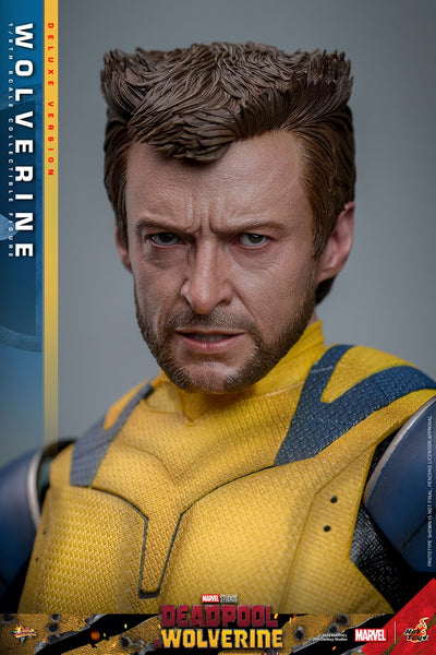 Pre-Order: WOLVERINE (DELUXE VERSION) Sixth Scale Figure by Hot Toys