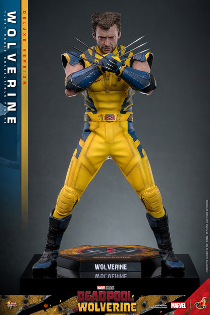 (Pre-Order) WOLVERINE (DELUXE VERSION) Sixth Scale Figure by Hot Toys