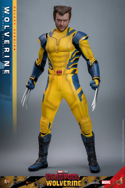 (Pre-Order) WOLVERINE (DELUXE VERSION) Sixth Scale Figure by Hot Toys
