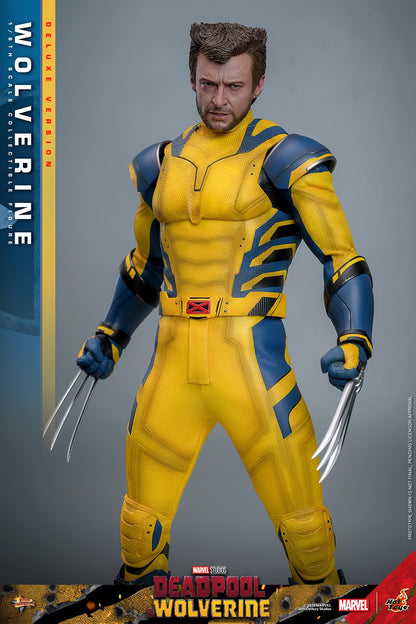 (Pre-Order) WOLVERINE (DELUXE VERSION) Sixth Scale Figure by Hot Toys