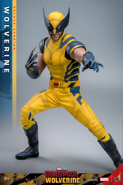 (Pre-Order) WOLVERINE (DELUXE VERSION) Sixth Scale Figure by Hot Toys
