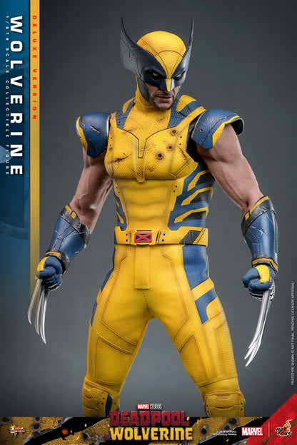 (Pre-Order) WOLVERINE (DELUXE VERSION) Sixth Scale Figure by Hot Toys