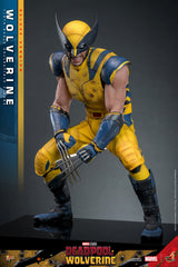 Pre-Order: WOLVERINE (DELUXE VERSION) Sixth Scale Figure by Hot Toys