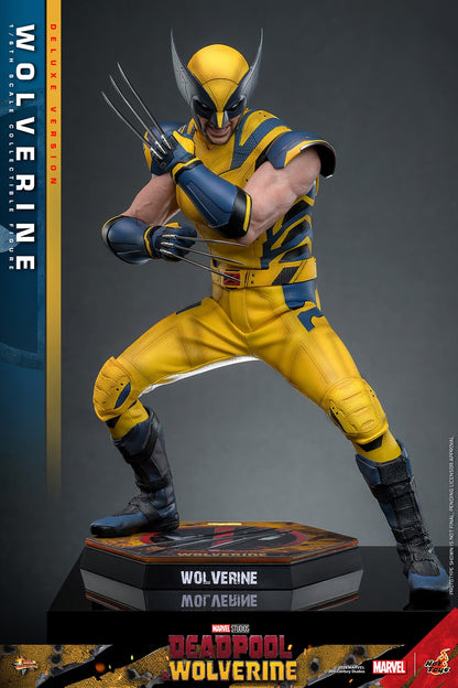 (Pre-Order) WOLVERINE (DELUXE VERSION) Sixth Scale Figure by Hot Toys