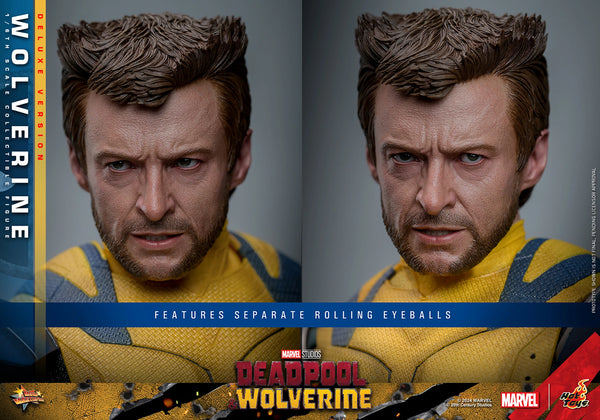 Pre-Order: WOLVERINE (DELUXE VERSION) Sixth Scale Figure by Hot Toys