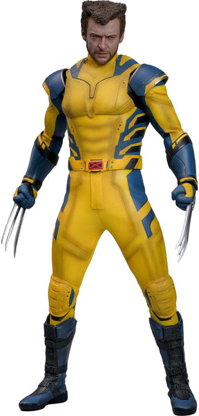 Pre-Order: WOLVERINE (DELUXE VERSION) Sixth Scale Figure by Hot Toys