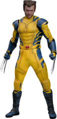 Pre-Order: WOLVERINE (DELUXE VERSION) Sixth Scale Figure by Hot Toys