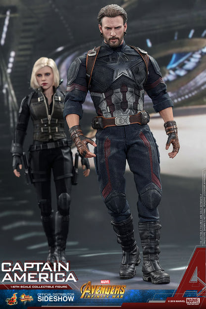 CAPTAIN AMERICA Sixth Scale Figure by Hot Toys