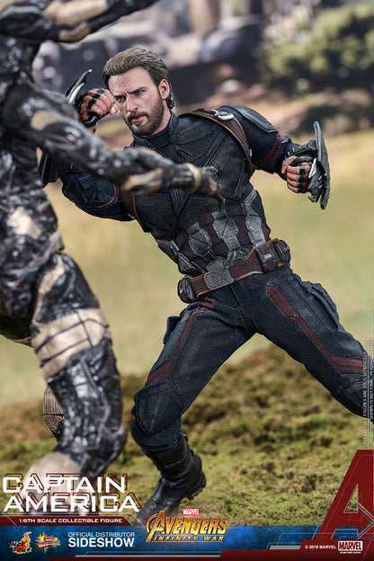 CAPTAIN AMERICA Sixth Scale Figure by Hot Toys