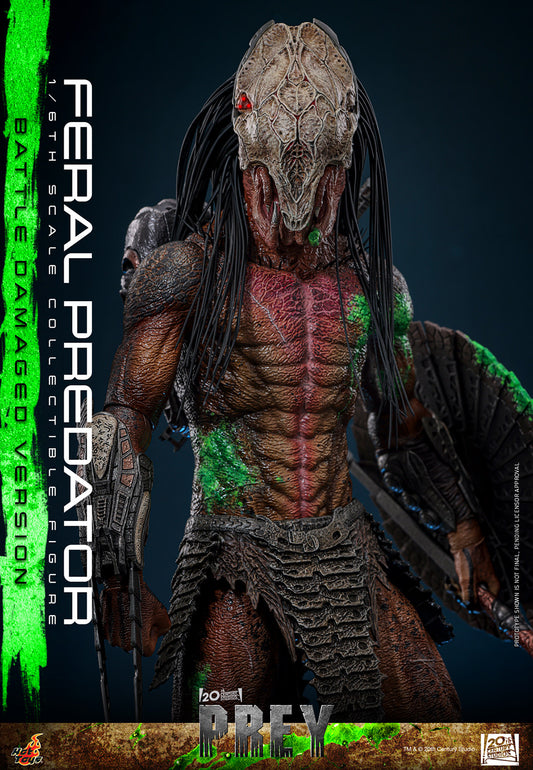 (Pre-Order) Feral Predator Battle Damaged Hot Toy