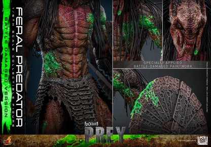 (Pre-Order) Feral Predator Battle Damaged Hot Toy
